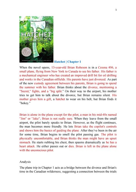 hatchet chapter 2 summary|hatchet brian before.